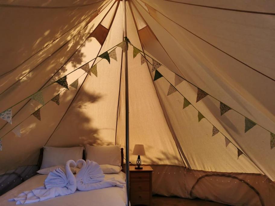 Wall Eden Farm - Luxury Log Cabins And Glamping Highbridge Extérieur photo