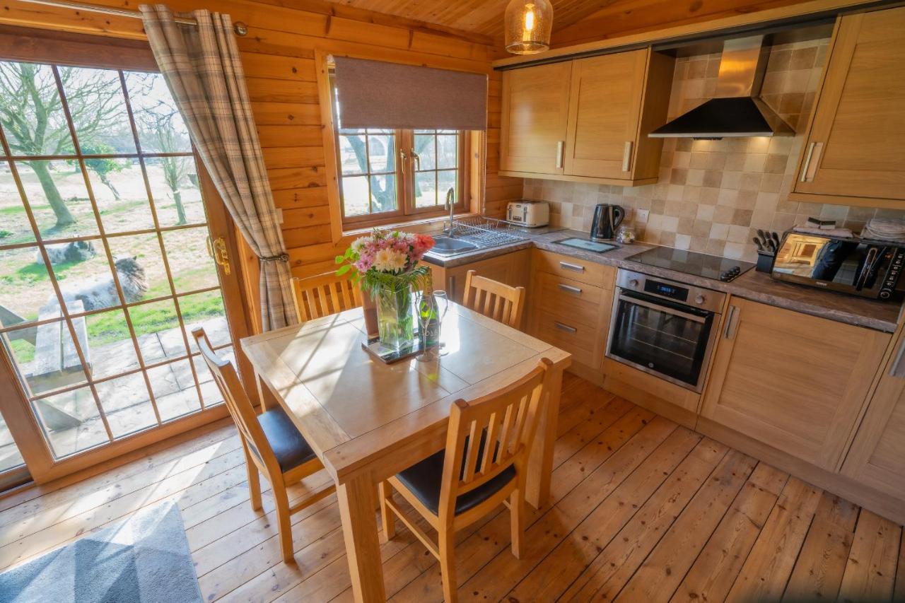 Wall Eden Farm - Luxury Log Cabins And Glamping Highbridge Extérieur photo